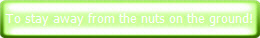 To stay away from the nuts on the ground!